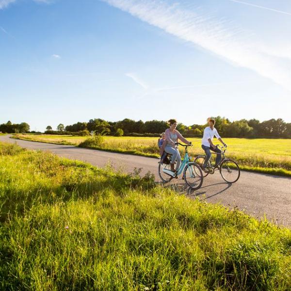 Vier tips om je oerbrein een beetje voor de gek te houden